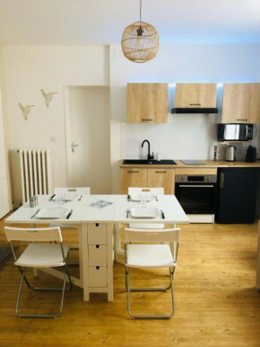 appartement centre ville/bouchon